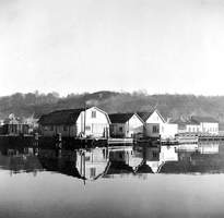 Bilde av Brygga og Fiskebasarene omkring 1925